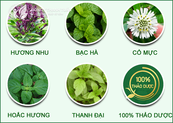 5 vị thành phần Thanh Hương Plus