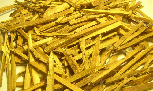 Thuốc chữa bệnh viêm xoang từ hoàng bá 