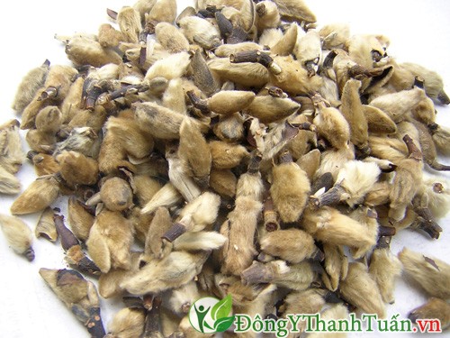 Các bài thuốc chữa viêm xoang phổ biến nhất