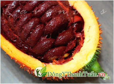 Cách chữa viêm xoang hiệu quả từ gấc