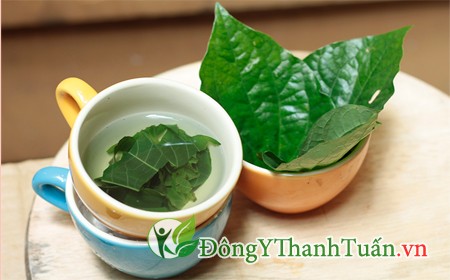 cách chữa viêm xoang với lá lốt 2
