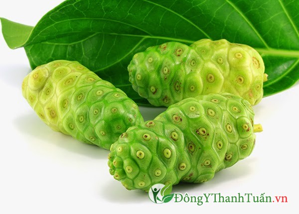 Cách điều trị bệnh giãn tĩnh mạch chân bằng trái nhàu