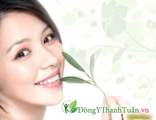 Cách trị hôi miệng bằng trà xanh