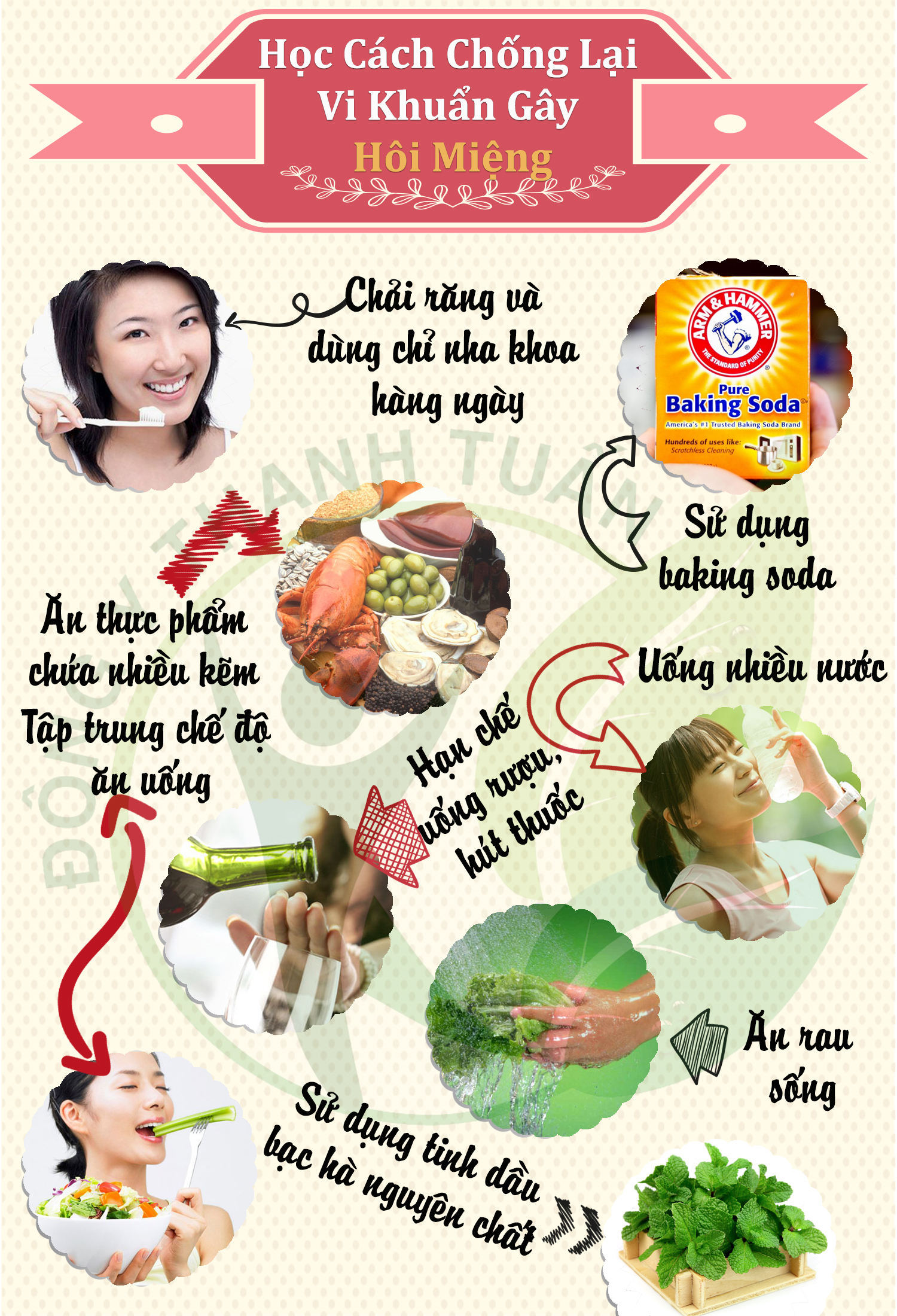 chống lại vi khuẩn gây hôi miệng