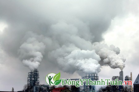 chữa bệnh viêm xoang ở trẻ 02