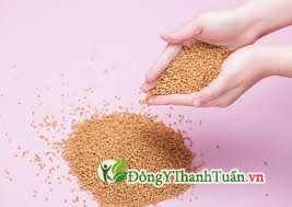 chữa trào ngược dạ dày gây hôi miệng với hạt methi