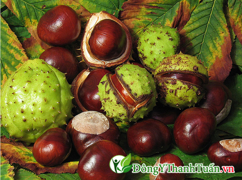giãn tĩnh chi dưới nên ăn gì 01