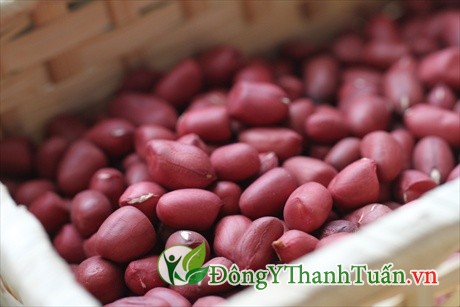 hạt lạc là cách chữa bênh viêm xoang dân gian