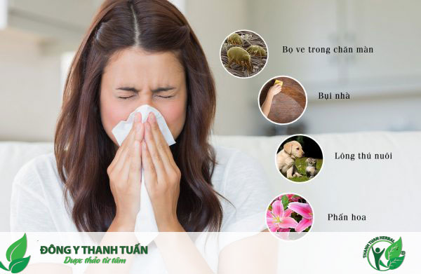 Nguyên nhân gây viêm mũi dị ứng