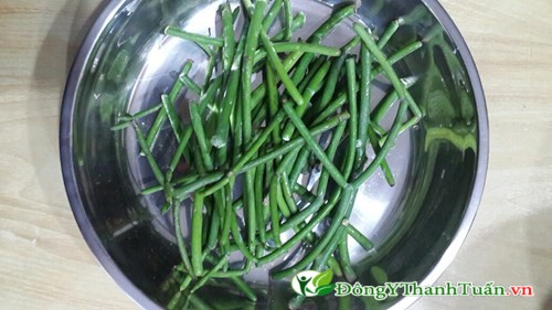 Sơ chế cây giao chữa viêm xoang cần cẩn thận với nhựa mũ rất có hại