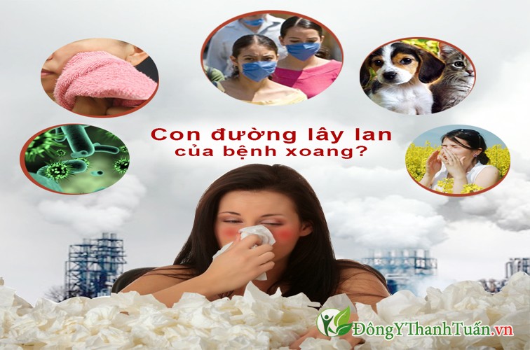Tránh xa các nguyên nhân gây bệnh là cách phòng và điều trị bệnh viêm xoang nhanh nhất