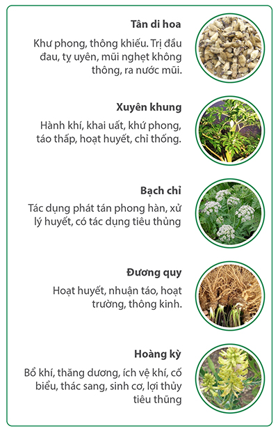 vi-thuoc-thanh-ty-linh-01