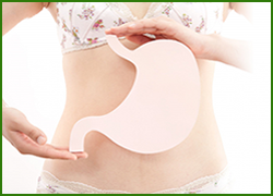 Dạ Dày - Tiêu Hóa